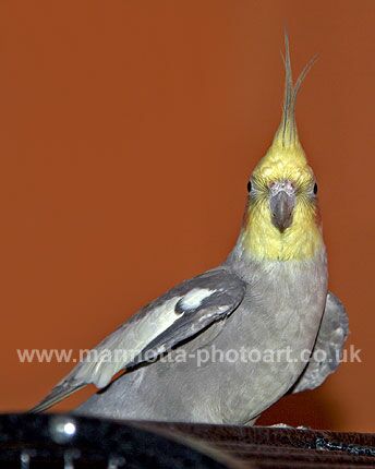 Click to See Next Image