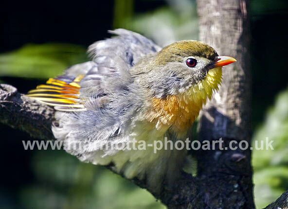 Click to See Next Image