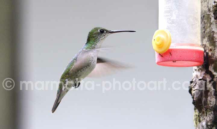 Click to See Next Image