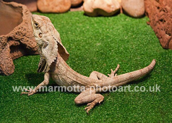 Click to See Next Image