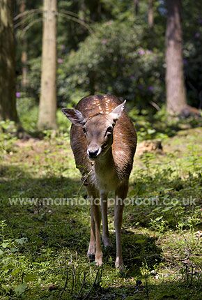 Click to See Next Image