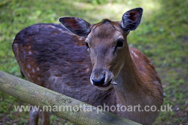 Click to See Next Image