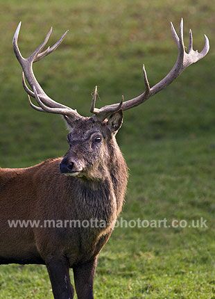 Click to See Next Image