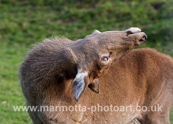 Click to See Next Image