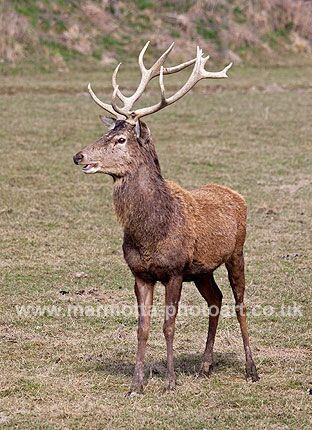 Click to See Next Image