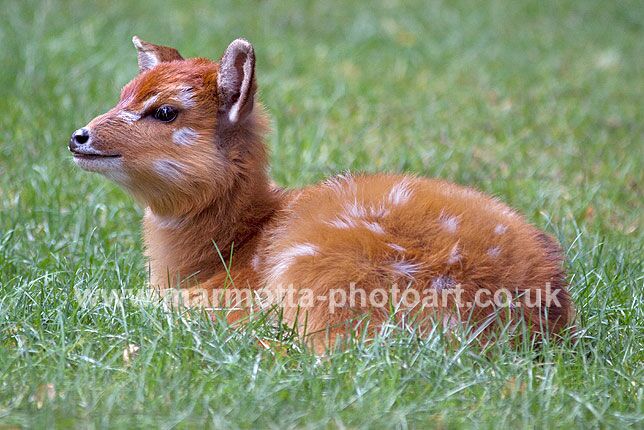 Click to See Next Image