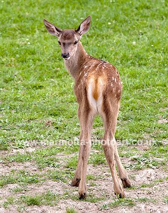 Click to See Next Image