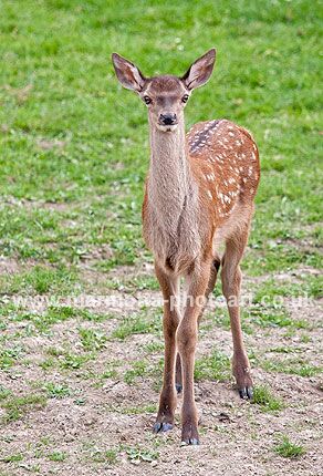 Click to See Next Image