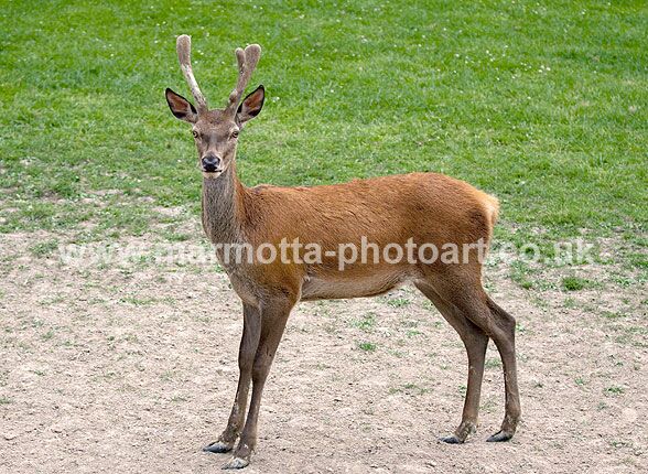 Click to See Next Image