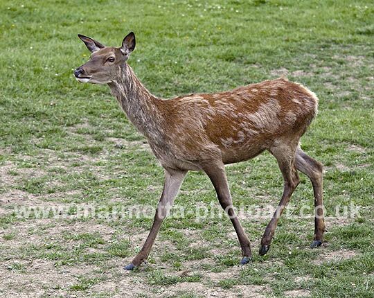 Click to See Next Image