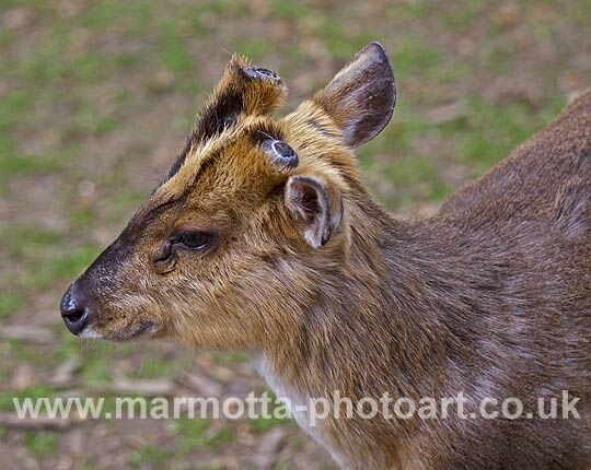 Click to See Next Image