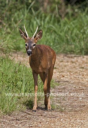 Click to See Next Image