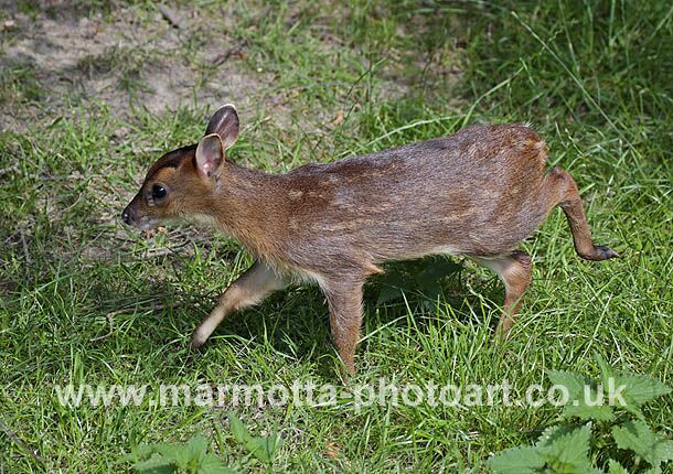 Click to See Next Image