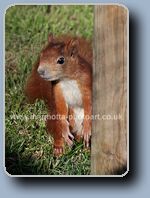 Click to Enlarge