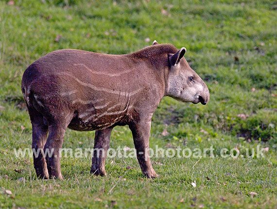 Click to See Next Image