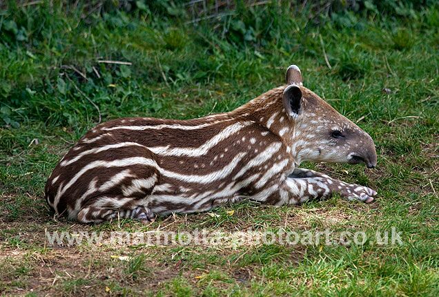 Click to See Next Image