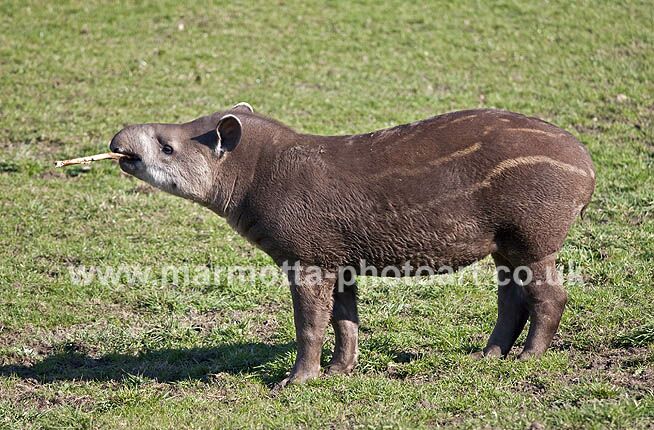 Click to See Next Image