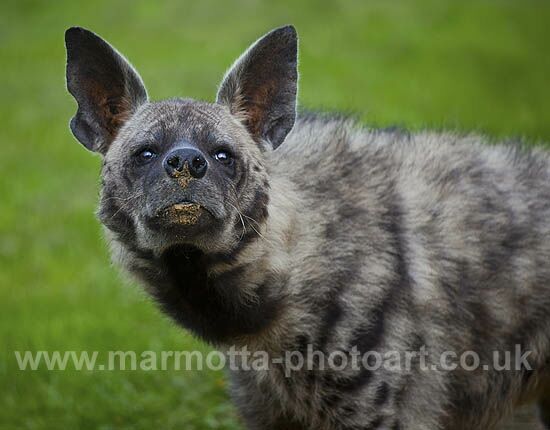 Click to See Next Image