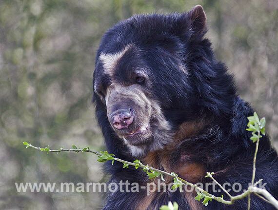 Click to See Next Image