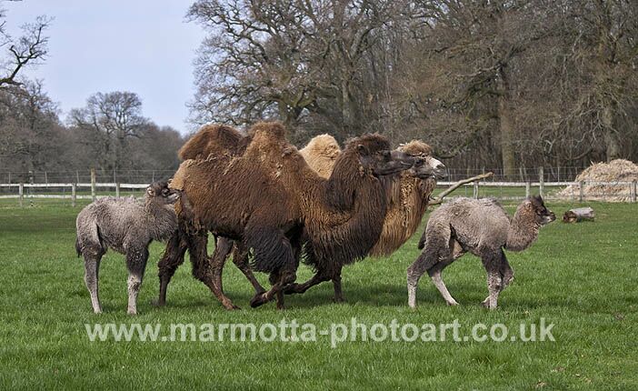 Click to See Next Image