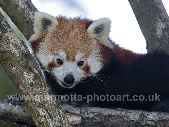 Click to See Next Image