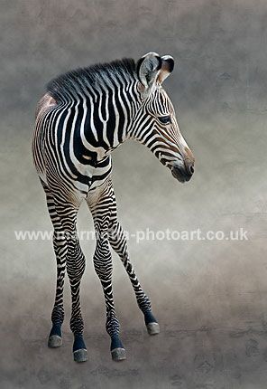 Click to See Next Image