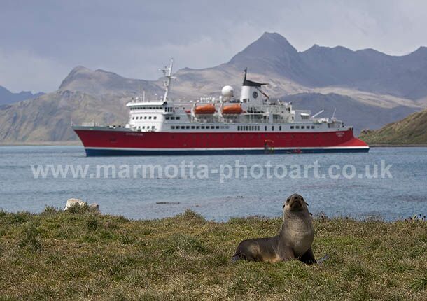 Click to See Next Image