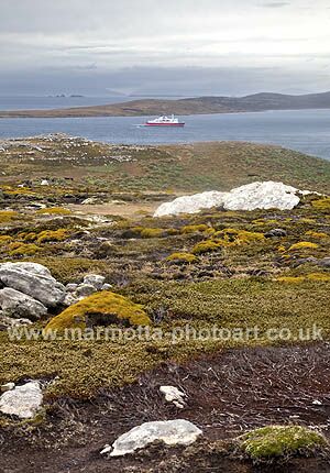 Click to See Next Image