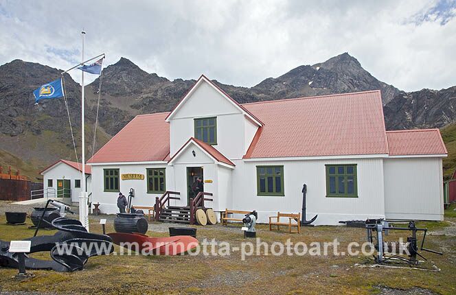 Click to See Next Image