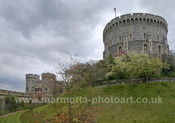 Click to See Next Image