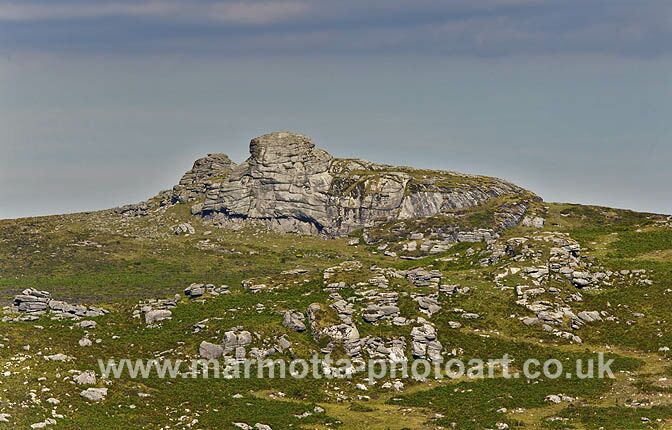 Click to See Next Image