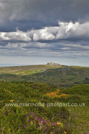 Click to See Next Image