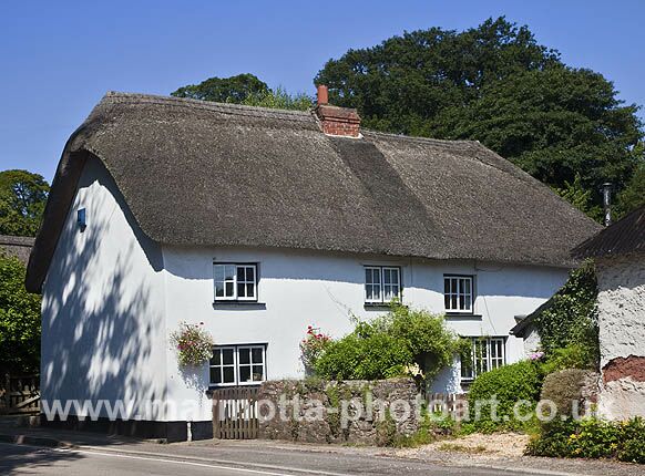 Click to See Next Image