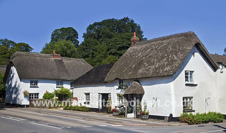 Click to See Next Image