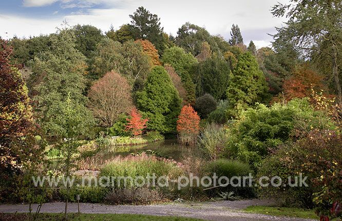 Click to See Next Image