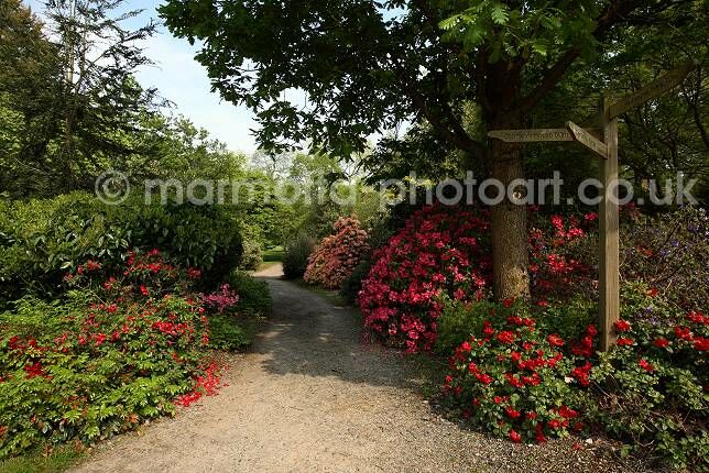 Click to See Next Image