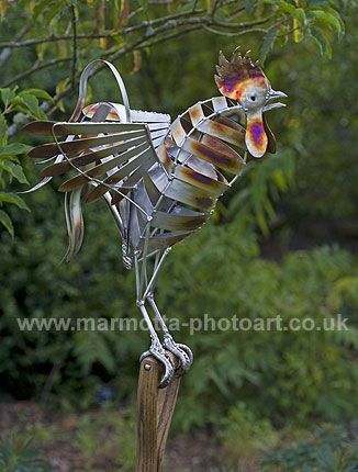 Click to See Next Image