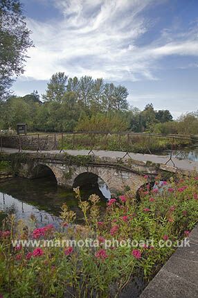 Click to See Next Image