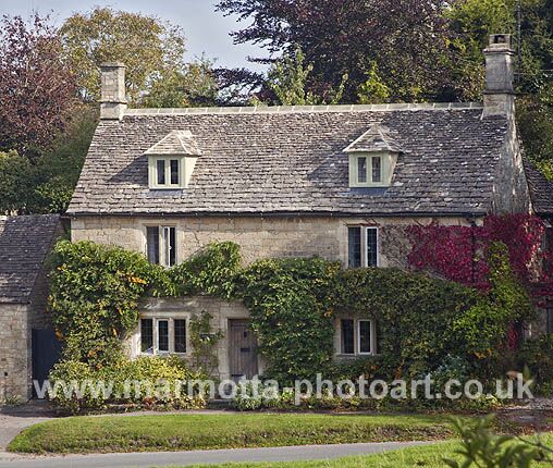 Click to See Next Image