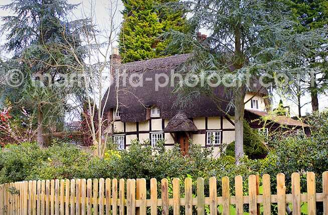 Click to See Next Image