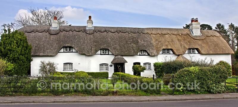 Click to See Next Image