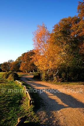 Click to See Next Image