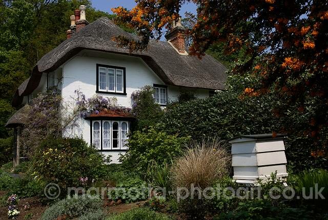 Click to See Next Image