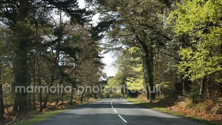 Click to See Next Image