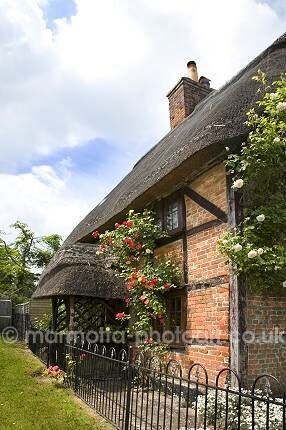 Click to See Next Image