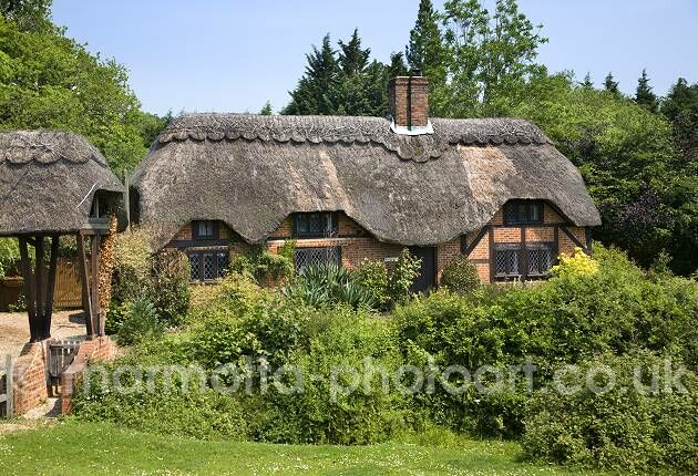 Click to See Next Image