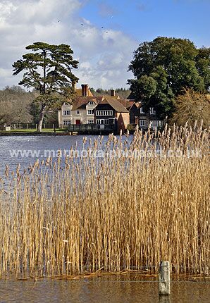 Click to See Next Image