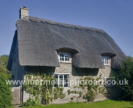 Click to See Next Image