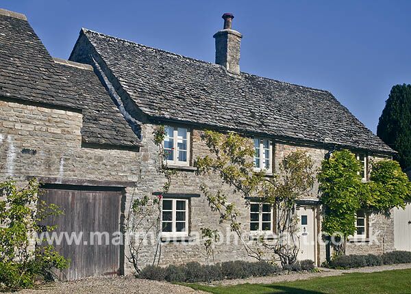 Click to See Next Image