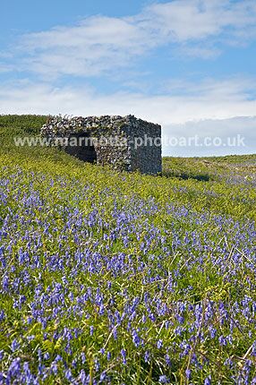 Click to See Next Image